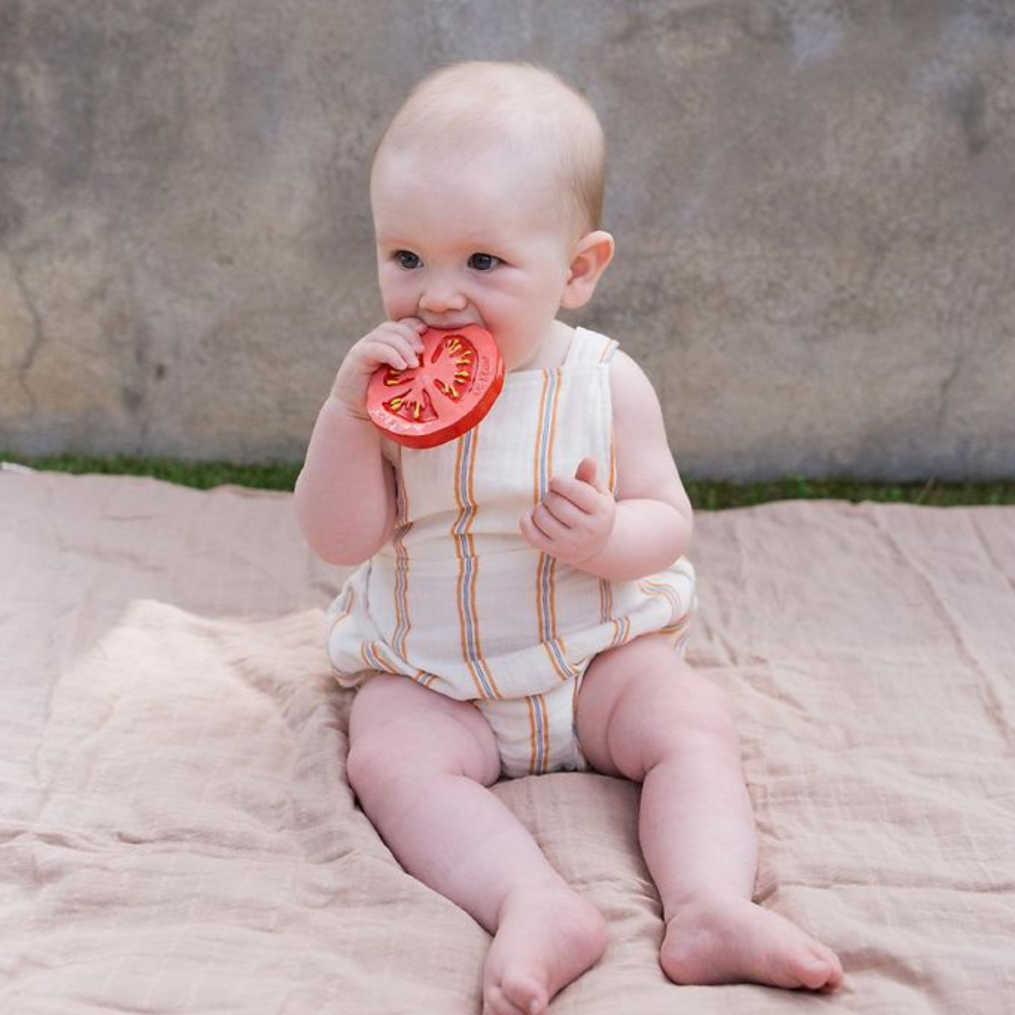 Kramtukas Renato the Tomato